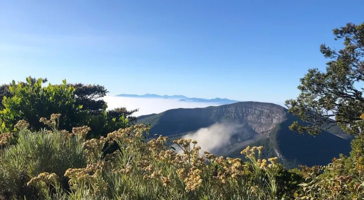 Taman Nasional Gunung Gede Pangrango miliki kebijakan baru tentang penggunaan drone. (Instagram/@gn.gedepangrango)