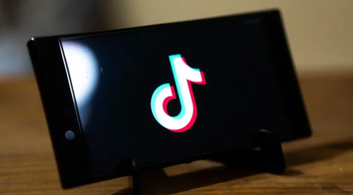 Cara Menyimpan Video TikTok Tanpa Watermark. (pixabay/amrothman)