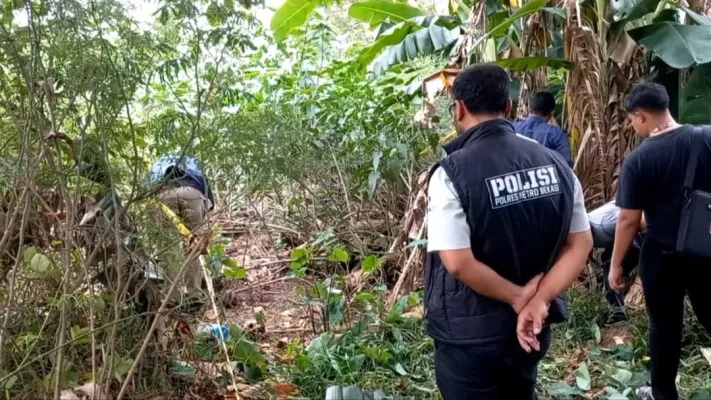 Kerangka manusia ditemukan di lahan kosong di Desa Tambun, Kabupaten Bekasi, Sabtu, 30 November 2024. (Dok. Humas Polsek Tambun Selatan)