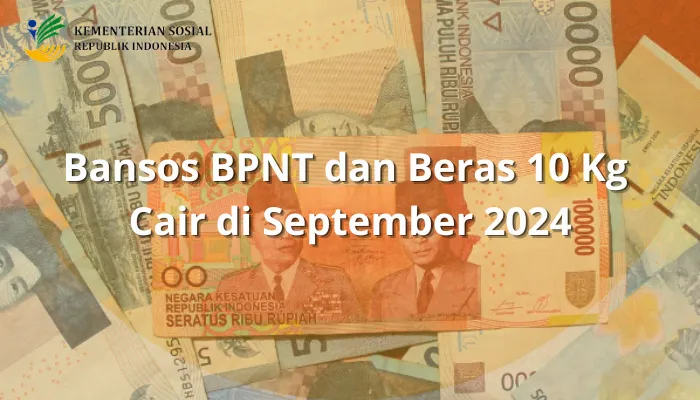 Termasuk Bansos BPNT dan Beras 10 Kg kembali akan disalurkan di September 2023 ini. (Pixabay/EmAji/edited Dadan)