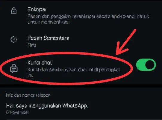 Begini cara mengunci chat WhatsApp di HP android anda. Tangkap Layar/Aplikasi WhatsApp