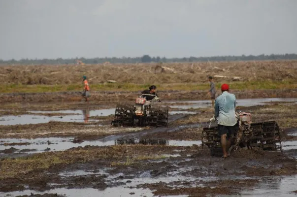 Sejumlah petani mengolah lahan pertanian dengan memanfaatkan teknologi. (Kementerian Pertanian RI)