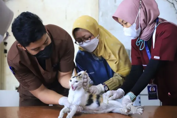 Vaksinasi hewan peliharaan di Kota Tangerang. (Iqbal)