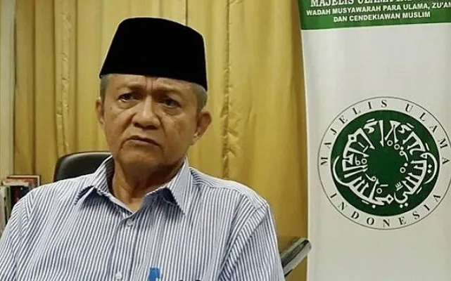 Wakil Ketua Umum Dewan Pertimbangan MUI Anwar Abbas. (Ist)