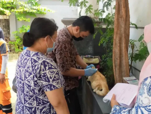 Vaksinasi Rabies yang digelar di wilayah kelurahan Cawang. (foto: istimewa)