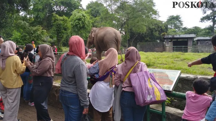 Pengunjung di Taman Margasatwa Ragunan, Jakarta Selatan. (Poskota.co.id)