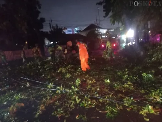 Foto : Pohon tumbang timpa pemotor di Jalan Hang Tuah Raya, Kebayoran Baru, Jakarta Selatan. (Poskota/Adji)