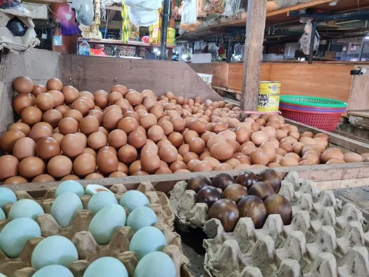 Pedagang telur ayam di pasar Tomang Barat, Grogol Petamburan, Jakarta Barat. (Foto: Poskota/Pandi Ramedhan)