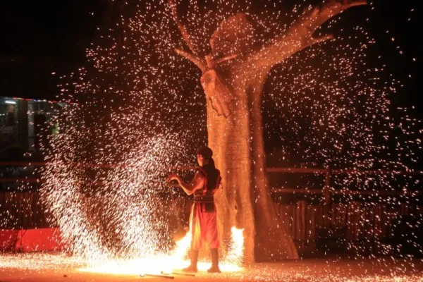 Foto: Safari Malam di Taman Safari Bogor, Jawa Barat, dibuka kembali tiket masuk seharga Rp 75 ribu. (Ist.)