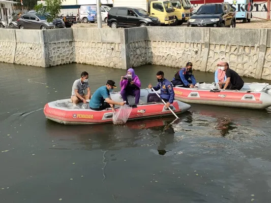 Wali Kota Jakarta Pusat Dhany Sukma bersama jajaran Pemkot Jakpus lakukan penebaran benih ikan. (cr05)