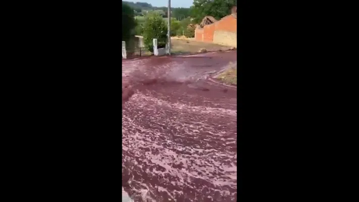 Viral Banjir Wine di Portugal Akibat Ledakan Tangki 2,2 Juta Liter, Sampai Disorot Media Internasional/Twitter @peacemaket71