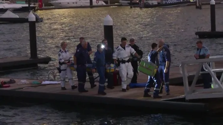 Seorang Wanita Mengalami Luka Serius Akibat Serangan Hiu Banteng di Sydney Harbour (Foto: ABC News)