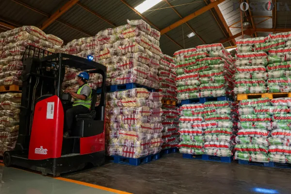 Pekerja saat merapikan dan memikul beras kemasan di Gudang Beras Food Stasiun Tjipinang, Jakarta Timur, Kamis, 19 Desember 2024. (Poskota/ Ahmad Tri Hawaari)