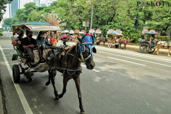 Sejumlah warga menaiki delman di Kawasan Monas, Jakarta Pusat, Minggu (30/1/2022). Pendapatan kusir delman pada 2022 meningkat 20 persen meskipun di tengah pandemi Covid-19 varian Omikron yang terus bertambah setiap harinya, pendapatan tersebut lebih besar dibandingkan pada tahun 2019-2021.PosKota/Ahmad Tri Hawaari