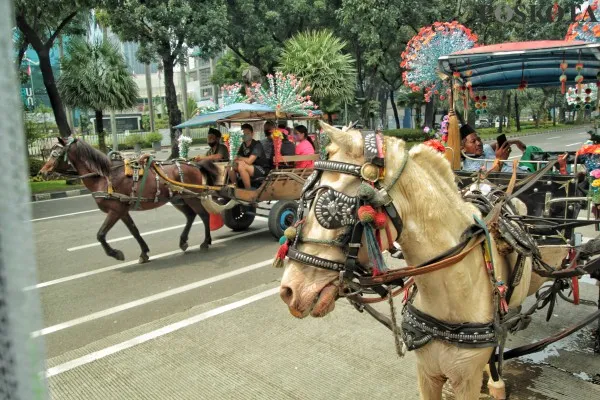 Sejumlah warga menaiki delman di Kawasan Monas, Jakarta Pusat, Minggu (30/1/2022). Pendapatan kusir delman pada 2022 meningkat 20 persen meskipun di tengah pandemi Covid-19 varian Omikron yang terus bertambah setiap harinya, pendapatan tersebut lebih besar dibandingkan pada tahun 2019-2021.PosKota/Ahmad Tri Hawaari