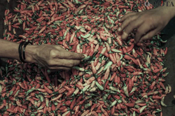 Aktivitas sejumlah pedagang sayur dan pembeli di Pasar Induk Kramat Jati, Jakarta Timur, Kamis, 12 Desember 2024. (Poskota/ Ahmad Tri Hawaari)