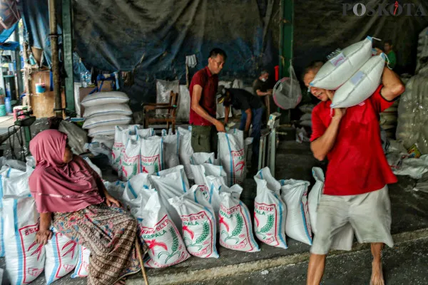 Pekerja saat memikul dan menata beras dalam karung kemasan di Pasar Induk Cipinang, Jakarta Timur, Minggu, 15 Desember 2024. (Poskota/ Ahmad Tri Hawaari)
