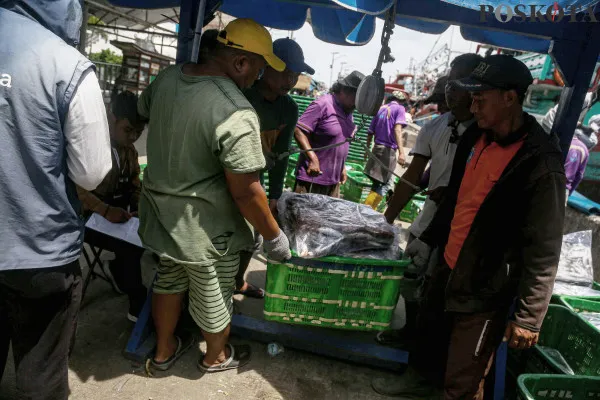 Sejumlah nelayan saat mengangkut dan menyortir ikan hasil tangkapan di Pelabuhan Muara Angke, Jakarta Utara, Jumat, 27 Desember 2024. (Poskota/ Ahmad Tri Hawaari)