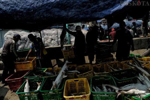 Sejumlah nelayan saat mengangkut dan menyortir ikan hasil tangkapan di Pelabuhan Muara Angke, Jakarta Utara, Jumat, 27 Desember 2024. (Poskota/ Ahmad Tri Hawaari)