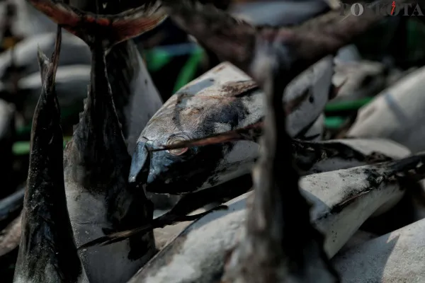 Sejumlah nelayan saat mengangkut dan menyortir ikan hasil tangkapan di Pelabuhan Muara Angke, Jakarta Utara, Jumat, 27 Desember 2024. (Poskota/ Ahmad Tri Hawaari)