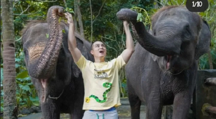 Sayang binatang, Baim Wong bercanda dengan gajah. (Foto:Instagram/@baimwong)