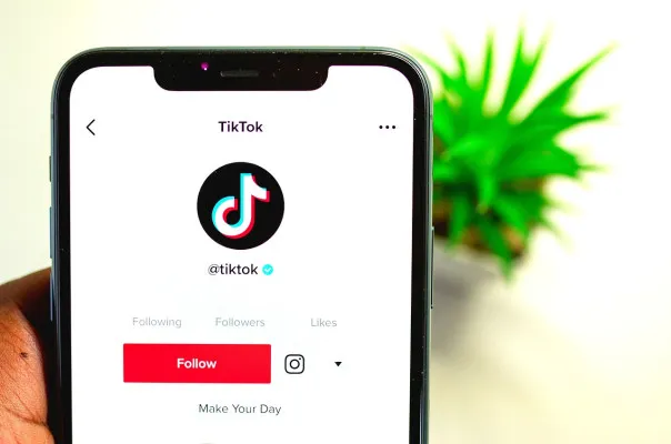 Cara membeli koin TikTok di DANA. (Pixabay/SAM-RIZ44