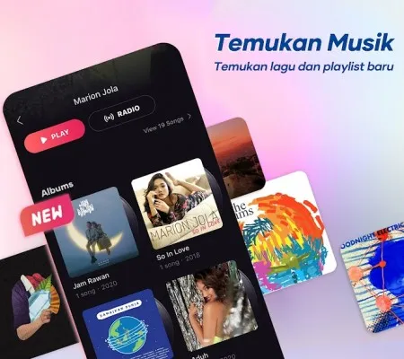 Lagi Bokek? Ini Aplikasi Penghasil Uang Hanya Modal Dengar Musik, Langsung Cair ke Saldo DANA (Foto: ist)