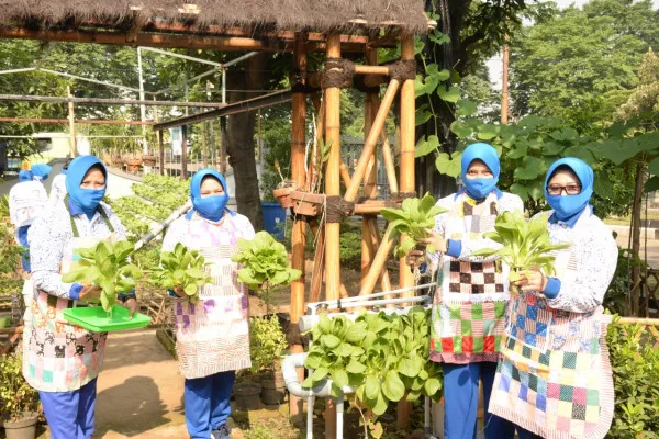 TNI AL di Lantamal V Panen Sayur. (ist)