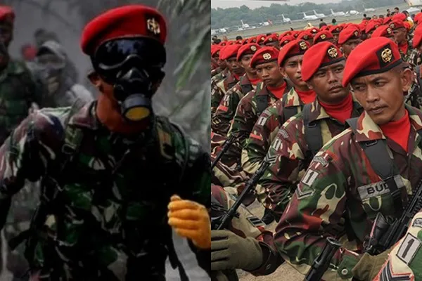 Kopassus TNI disorot usai diserang KKB di Nduga, Papua. Foto: Kolase/Ist.