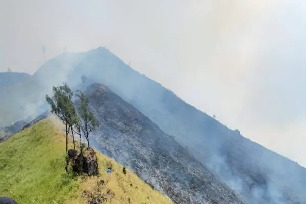 Kebakaran lereng Gunung Arjuno semakin meluas. Foto: BNPB.