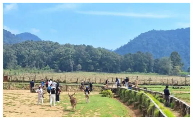 Wisata penangkaran rusa di Ranca Upas Bandung (Instagram/@wisatarancaupas)