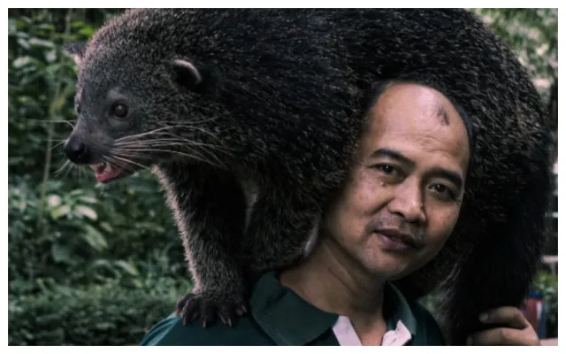 keeper satwa dengan hewan binturong (Instagram/@bandung_zoo)