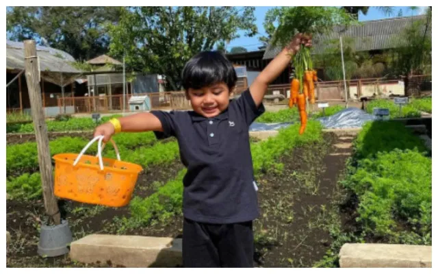 Seorang anak sedang menanam wortel di Jendela Alam Bandung (Instagram/@jendelaalambandung)