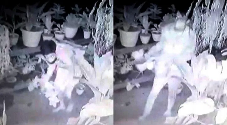 Tangkapan layar video CCTV dari kedua pelaku pencuri tanaman hias jenis aglaonema. (Ist) 