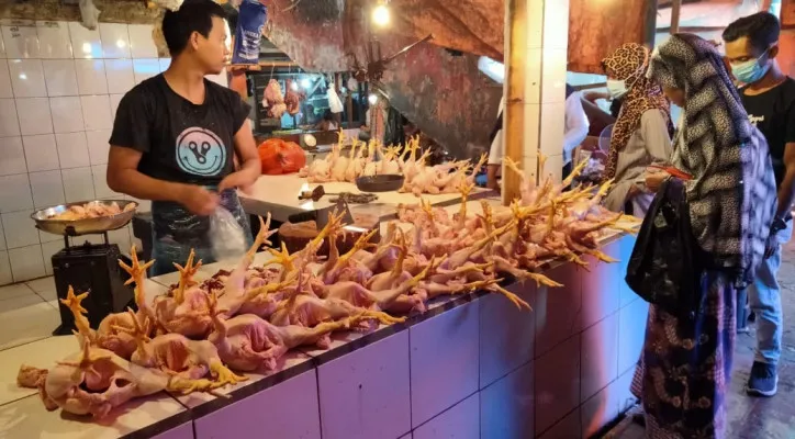 Pedagang daging ayam di Pasar Rangkasbitung. (foto: ist)