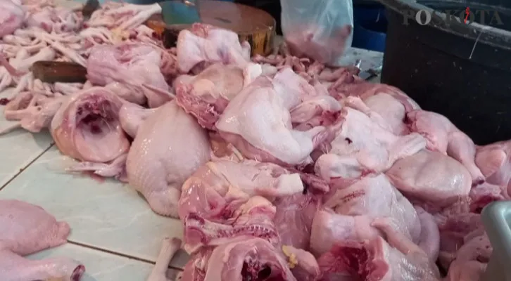 Harga Daging Ayam Di Pasar Tomang Barat Alami Penurunan Sejak 3 Hari Belakangan. (cr01)