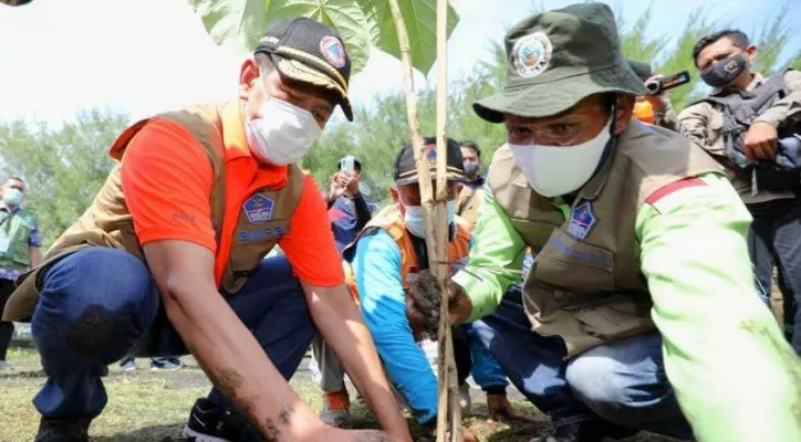 Kepala BNPB Doni Monardo saat menanam pohon. (ist)