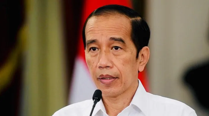 Presiden Joko Widodo. (foto: ist)