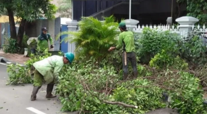 Petugas tengah memotong sejumlah pohon di kawasan Senen, Jakarta Pusat. (ist)