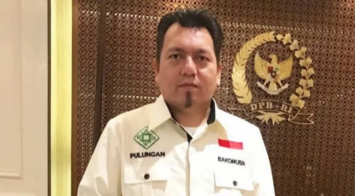 Tenaga Ahli Kantor Staf Presiden (KSP), Ade Irfan Pulungan. (ist)