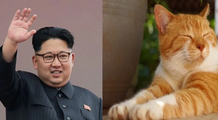 Kim Jong Un Perintahkan Bunuh Kucing dan Burung Merpati (Foto: Istimewa)