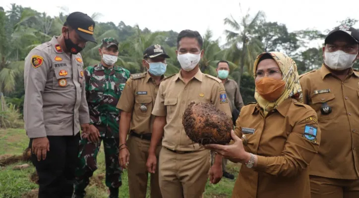 Bupati Serang, Ratu Tatu Chasanah. (foto humas kabupaten serang)