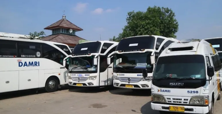 Armada bus DAMRI.(Ist)