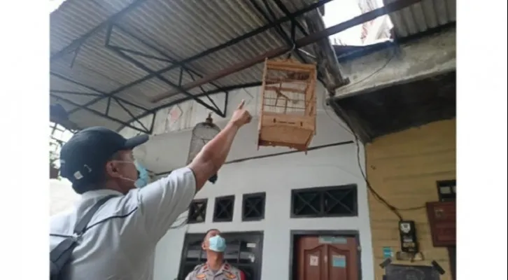 Lokasi kejadian tewasnya seorang warga usai selamatkan kucing dari atas atap rumah. (ist)