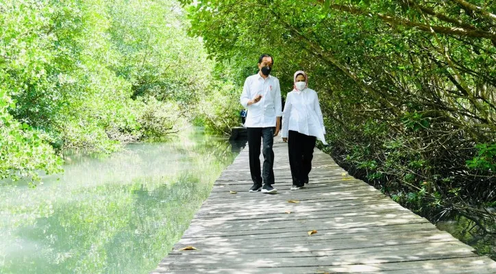 Presiden Joko Widodo bersama Ibu Negara Iriana di kawasan hutan mangrove di Taman Hutan Raya Ngurah Rai, Bali. (biro pers)