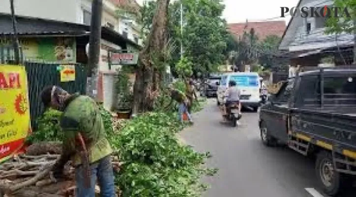 Penebangan pohon di wilayah Jakarta Barat. (foto: poskota/cr01)