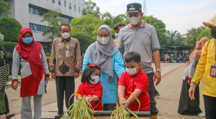 Anak usia PAUD hingga SD diajari cara memanen padi dan kangkung di area Walkot Farm Jakarta Utara, Kamis (28/10). (ist)