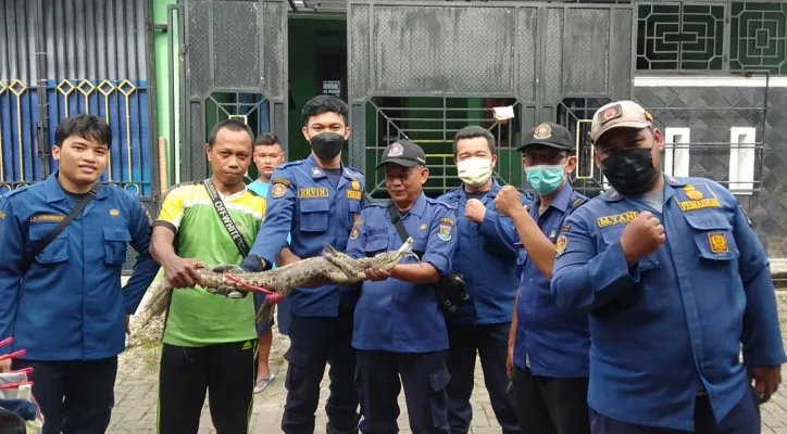 BPBD Kabupaten Tangeranng saat mengamankan anak buaya dari rumah warga di Tigaraksa. (Foto/Ist)