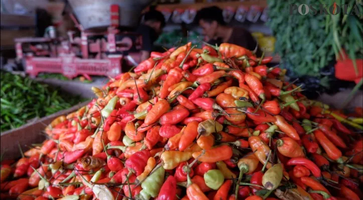 Harga Cabai Rawit di Serang Tembus Rp90 Ribu Per Kilogram. (foto: luthfi)