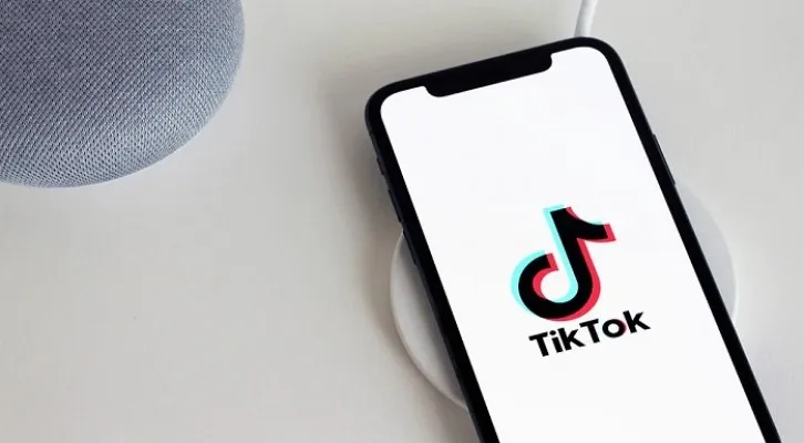 Simak! Tips dan Trik agar Langsung Mendapatkan Uang Gratis dari TikTok (Foto: Pixabay)